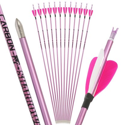 Fire Fox 2-inch Heart-Shaped True Feather Pure Carbon Arrows(12pcs)