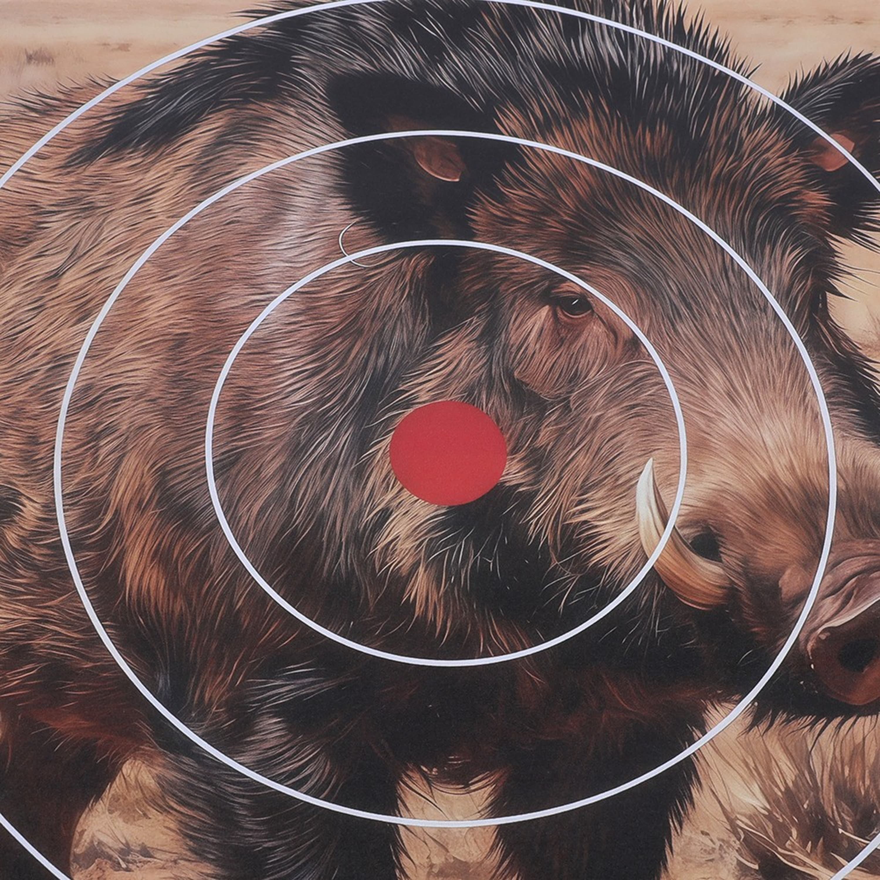 Archery Target Paper Face Animal Arrow Bow Shooting 40x40CM