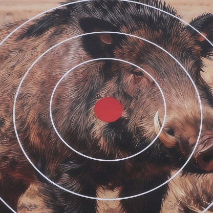 Archery Target Paper Face Animal Arrow Bow Shooting 40x40CM