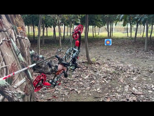  30-70lbs Compound Bow Steel Ball Arrows Dual-use Hunting Fishing Archery RH LH