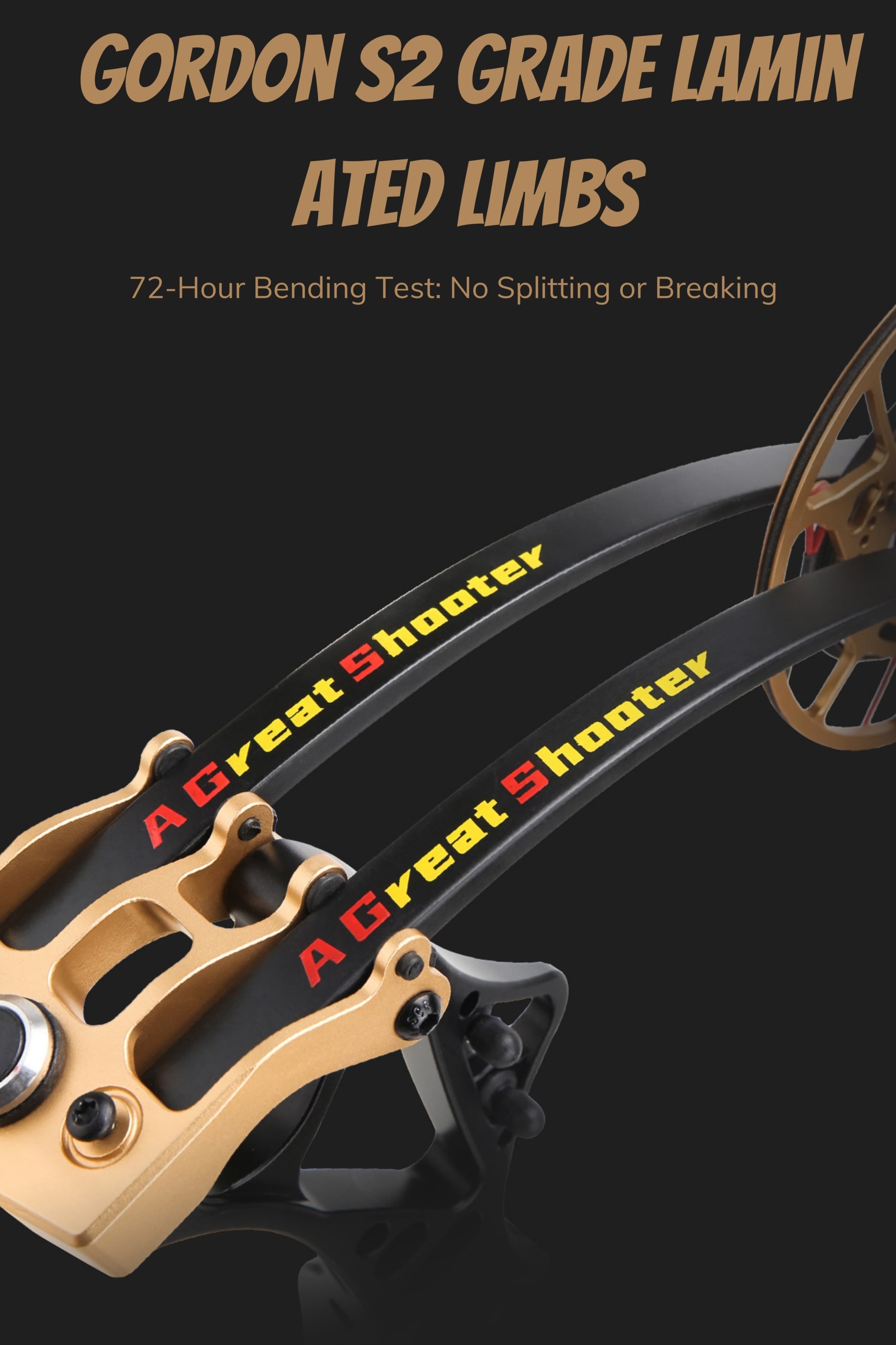 AGS Archery Compound Bow 40-70lbs Target Kit Shooting