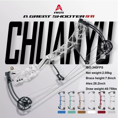 AGS Archery Compound Bow 45-75lbs Target Kit Shooting Hunting