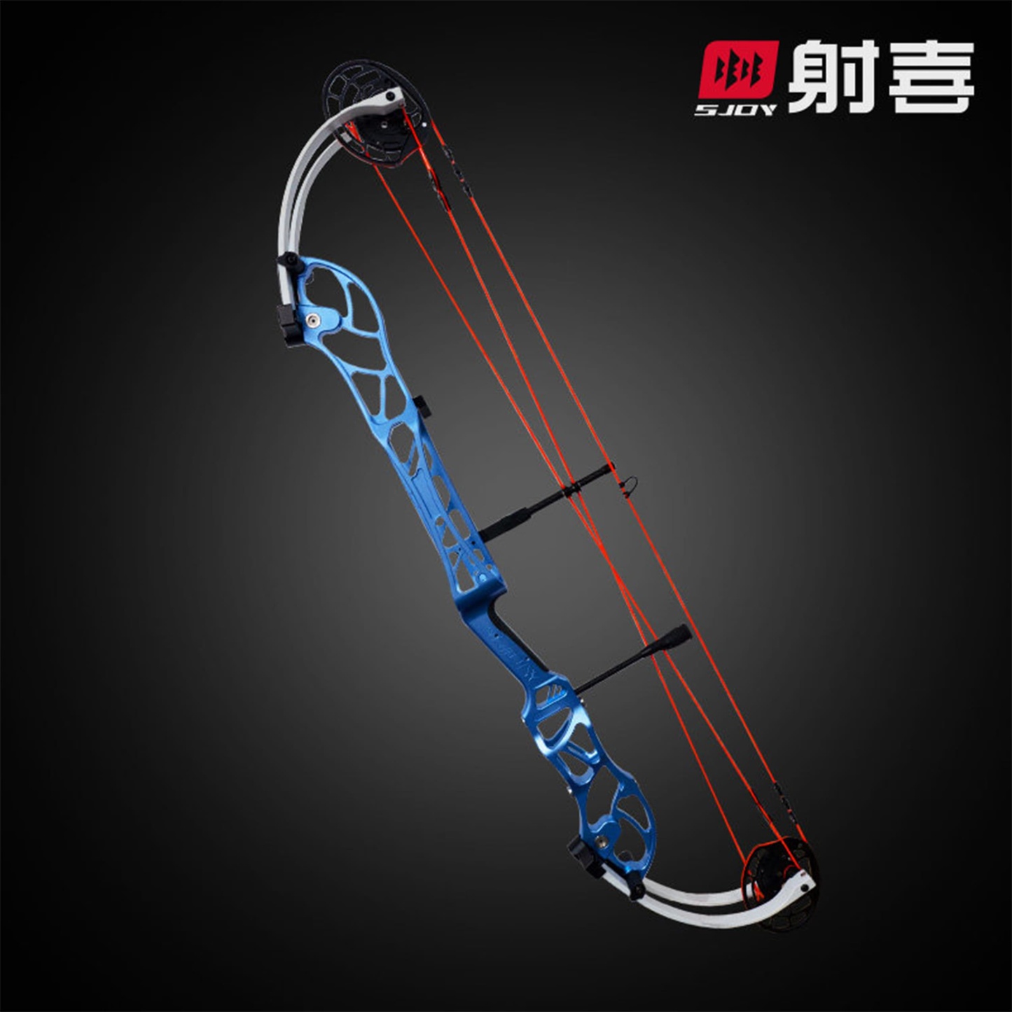 AGS Archery Compound Bow 40-60lbs Target Kit Shooting Hunting
