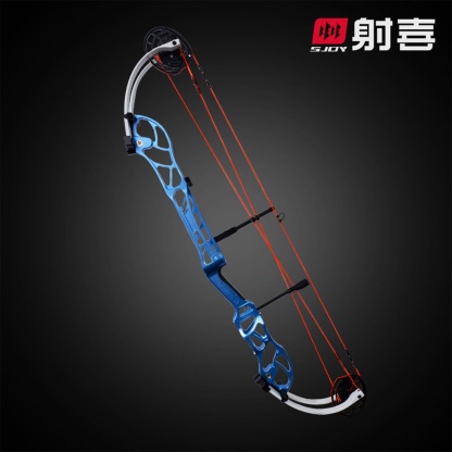 AGS Archery Compound Bow 40-60lbs Target Kit Shooting Hunting