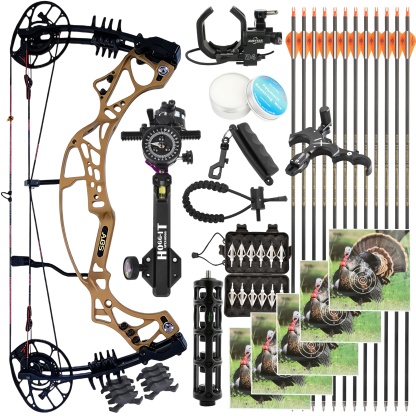AGS Archery Compound Bow 40-70lbs Target Kit Shooting
