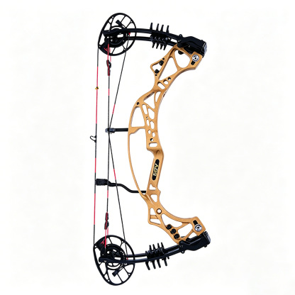 AGS Archery Compound Bow 40-70lbs Target Kit Shooting Hunting