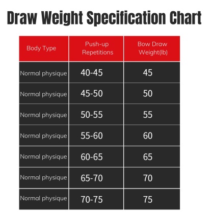 AGS 45-75LBS Archery Compound Bow Shooting Target RH