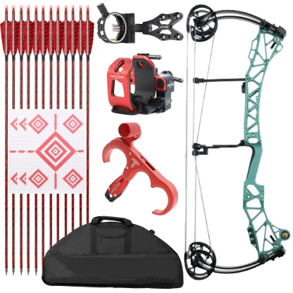 AGS Archery Compound Bow 45-75lbs Target Kit Shooting Hunting