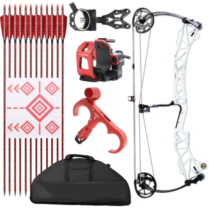 AGS Archery Compound Bow 45-75lbs Target Kit Shooting Hunting