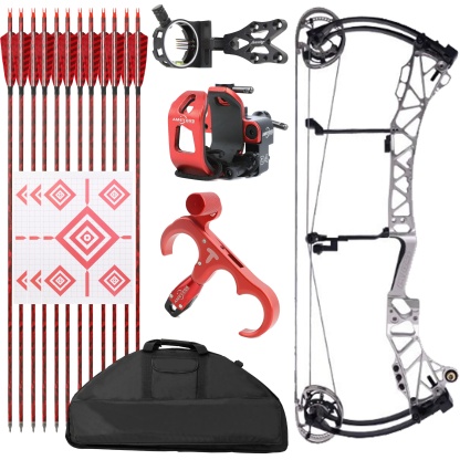 AGS Archery Compound Bow 45-75lbs Target Kit Shooting Hunting