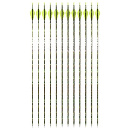 AME ARCHERY Triangular Fletching Pure Carbon Arrows(12PCS)