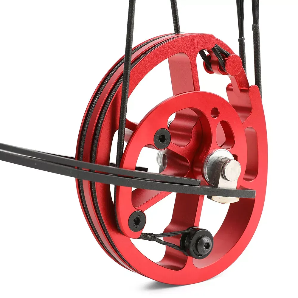 AME 18" Mini Compound Bow 45lbs Dual-use Steel Ball Arrows Archery Fishing Hunting