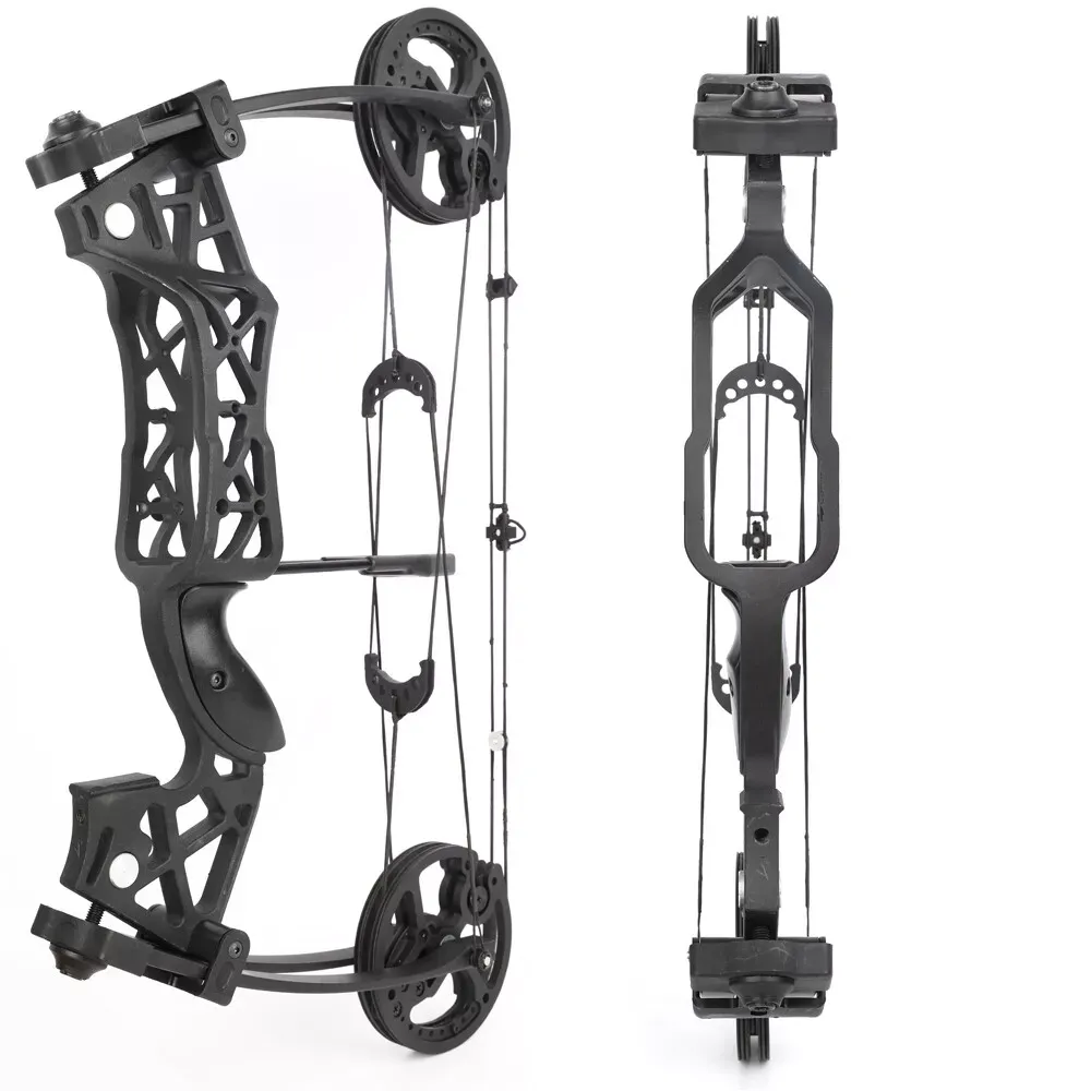 AME 30-60lbs Compound Bow Dual-use Steel Ball Arrows Archery Hunting Fishing RH LH