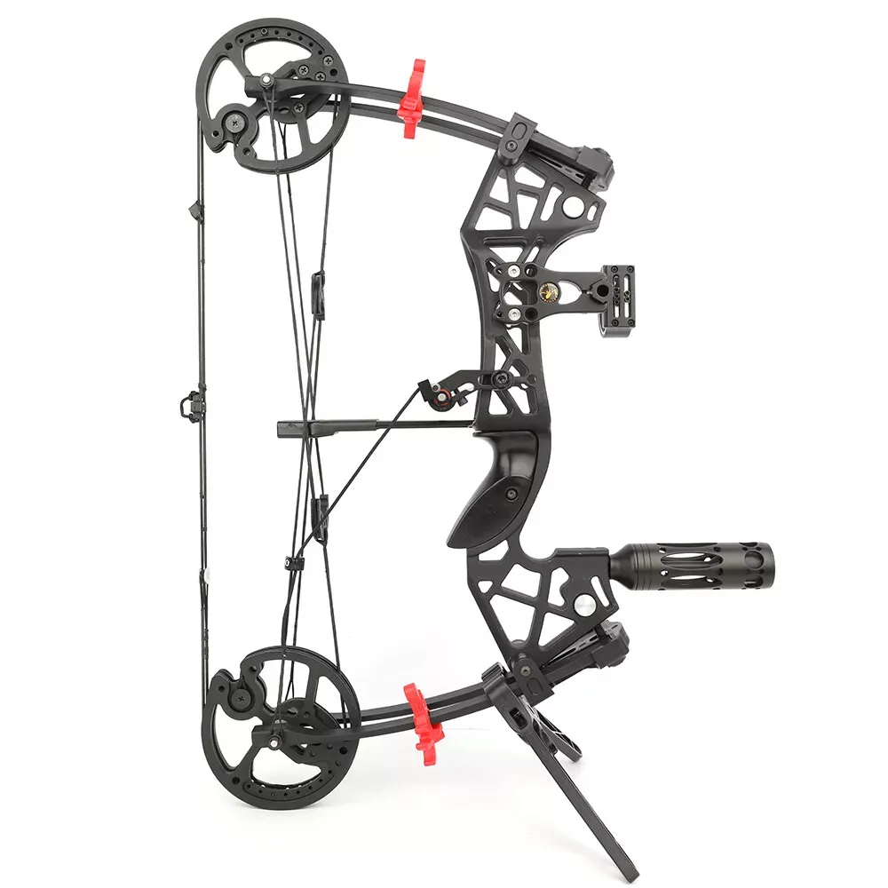 AME 30-60lbs Compound Bow Dual-use Steel Ball Arrows Archery Hunting Fishing RH LH