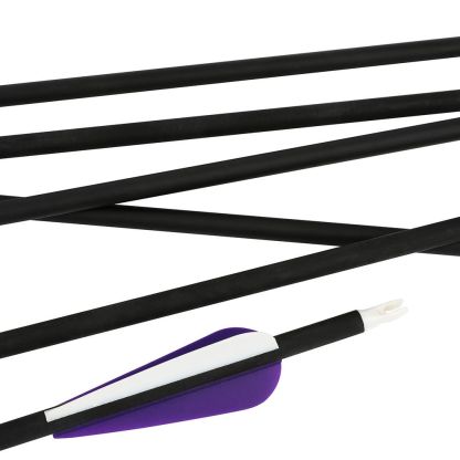 AME 30" Carbon Arrows SP500 for Archery Outdoor Recurve Bow  Shooting Hunting (12pcs)