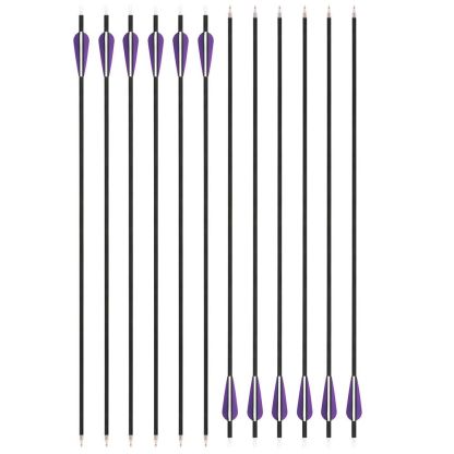 AME 30" Carbon Arrows SP500 for Archery Outdoor Recurve Bow  Shooting Hunting (12pcs)