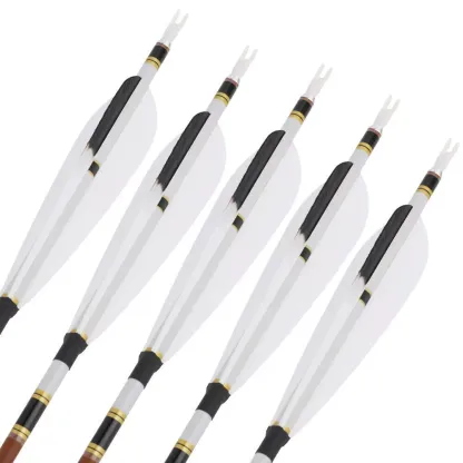 AME  31" Pure Carbon Arrows  SP340-600 (12pcs)