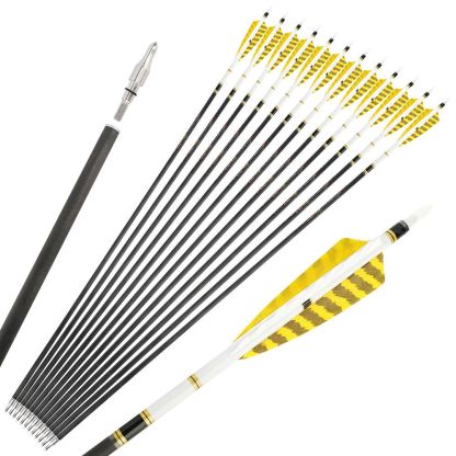 AME 31inch Carbon Arrows SP250-600 4 inch Natural Feathers for  Bow Hunting