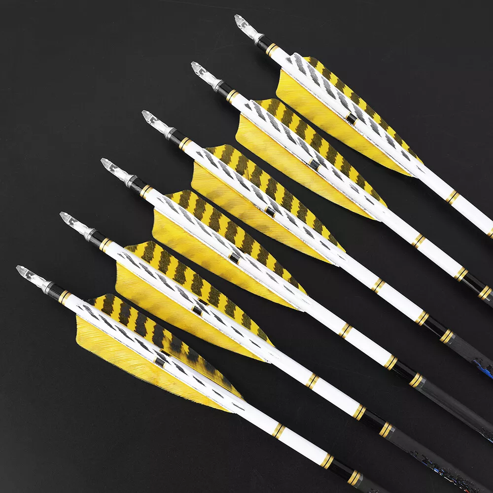 AME 31inch Carbon Arrows SP250-600 4 inch Natural Feathers for  Bow Hunting