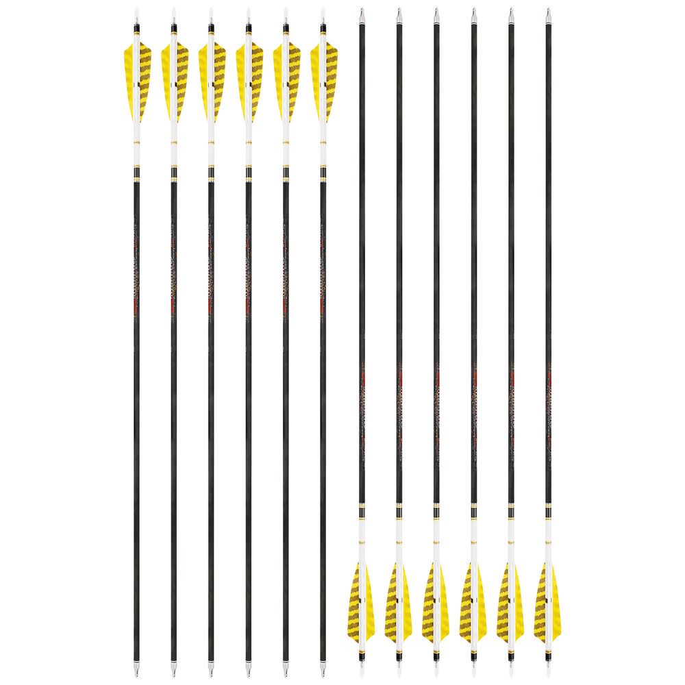 AME 31inch Carbon Arrows SP250-600 4 inch Natural Feathers for  Bow Hunting