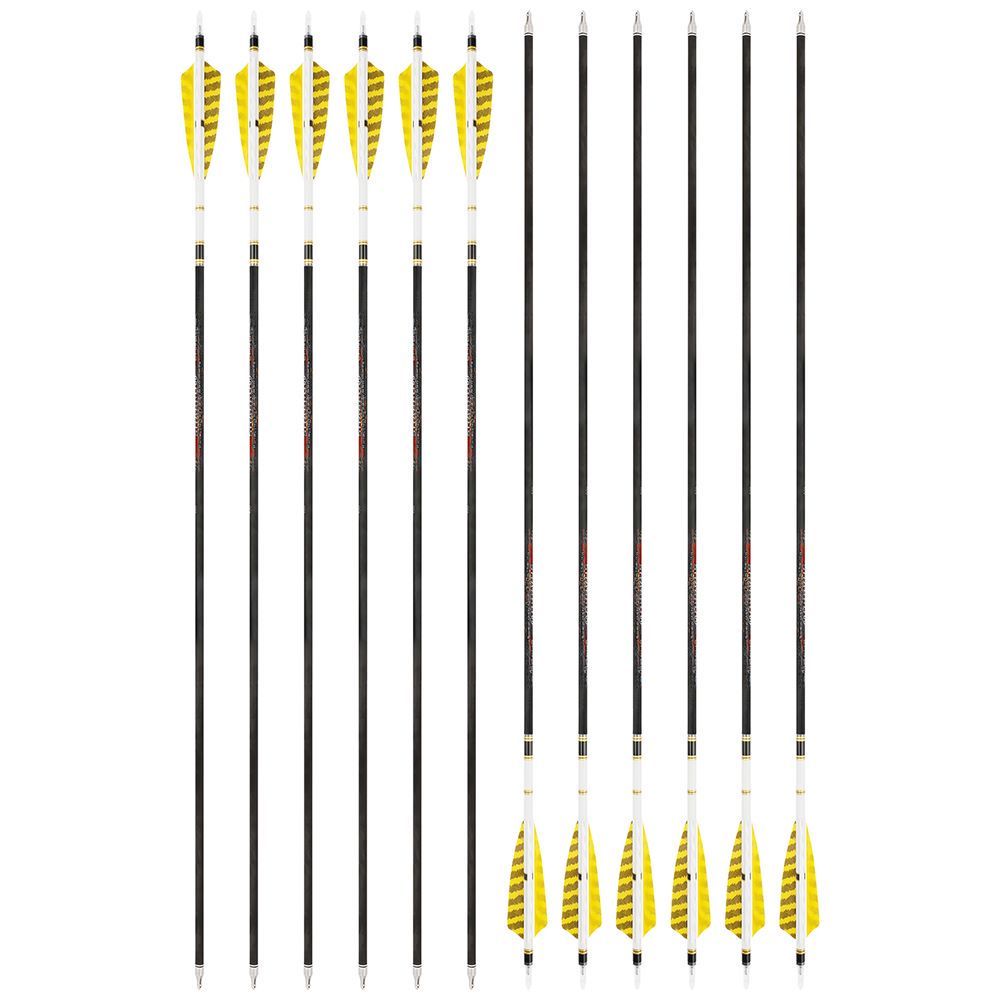 AME 31inch Carbon Arrows SP250-600 4 inch Natural Feathers for  Bow Hunting