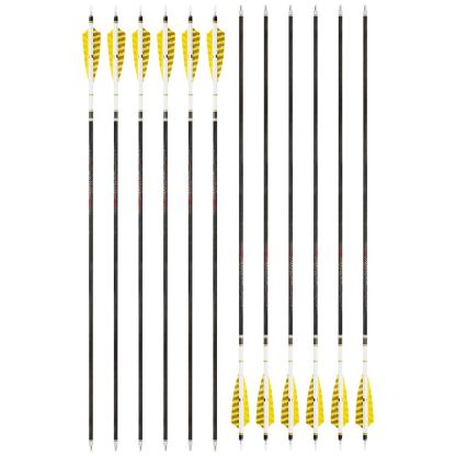 AME 31inch Carbon Arrows SP250-600 4 inch Natural Feathers for  Bow Hunting