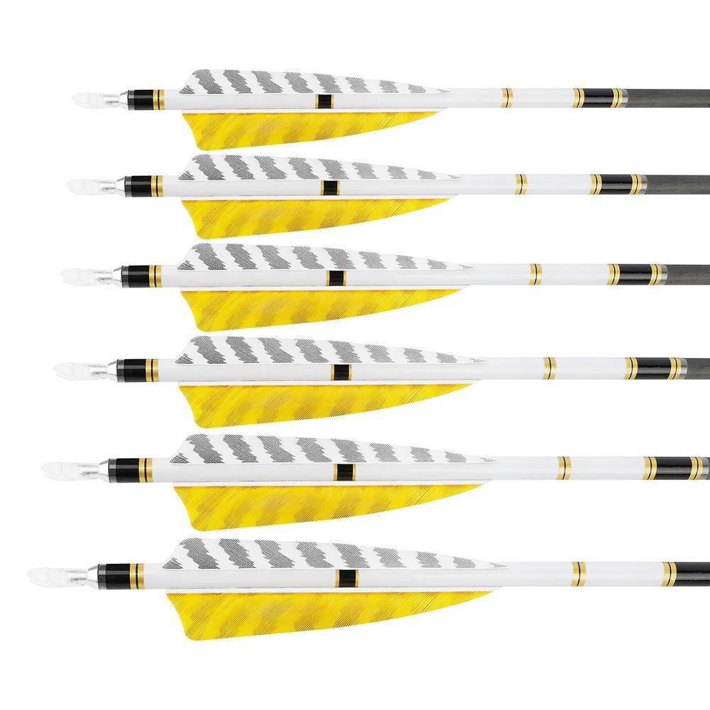 AME 31inch Carbon Arrows SP250-600 4 inch Natural Feathers for  Bow Hunting
