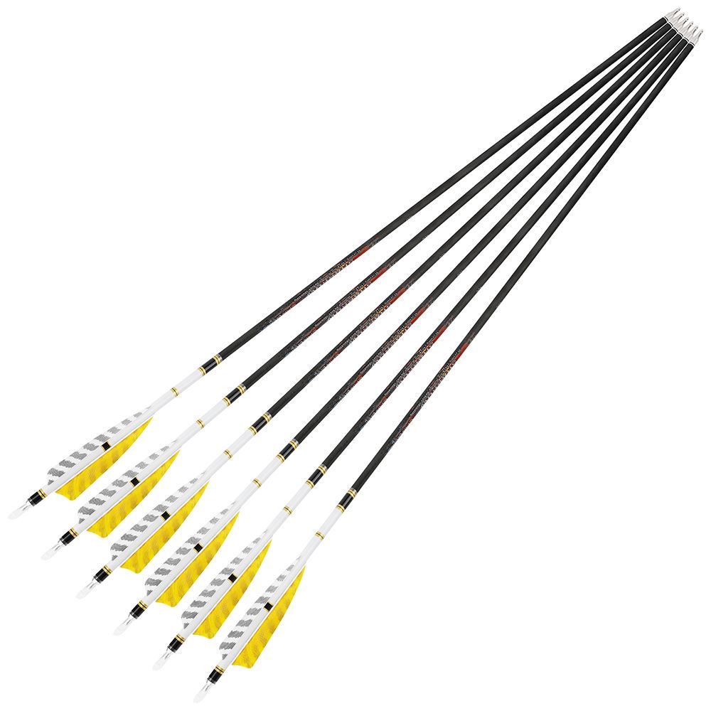AME 31inch Carbon Arrows SP250-600 4 inch Natural Feathers for  Bow Hunting