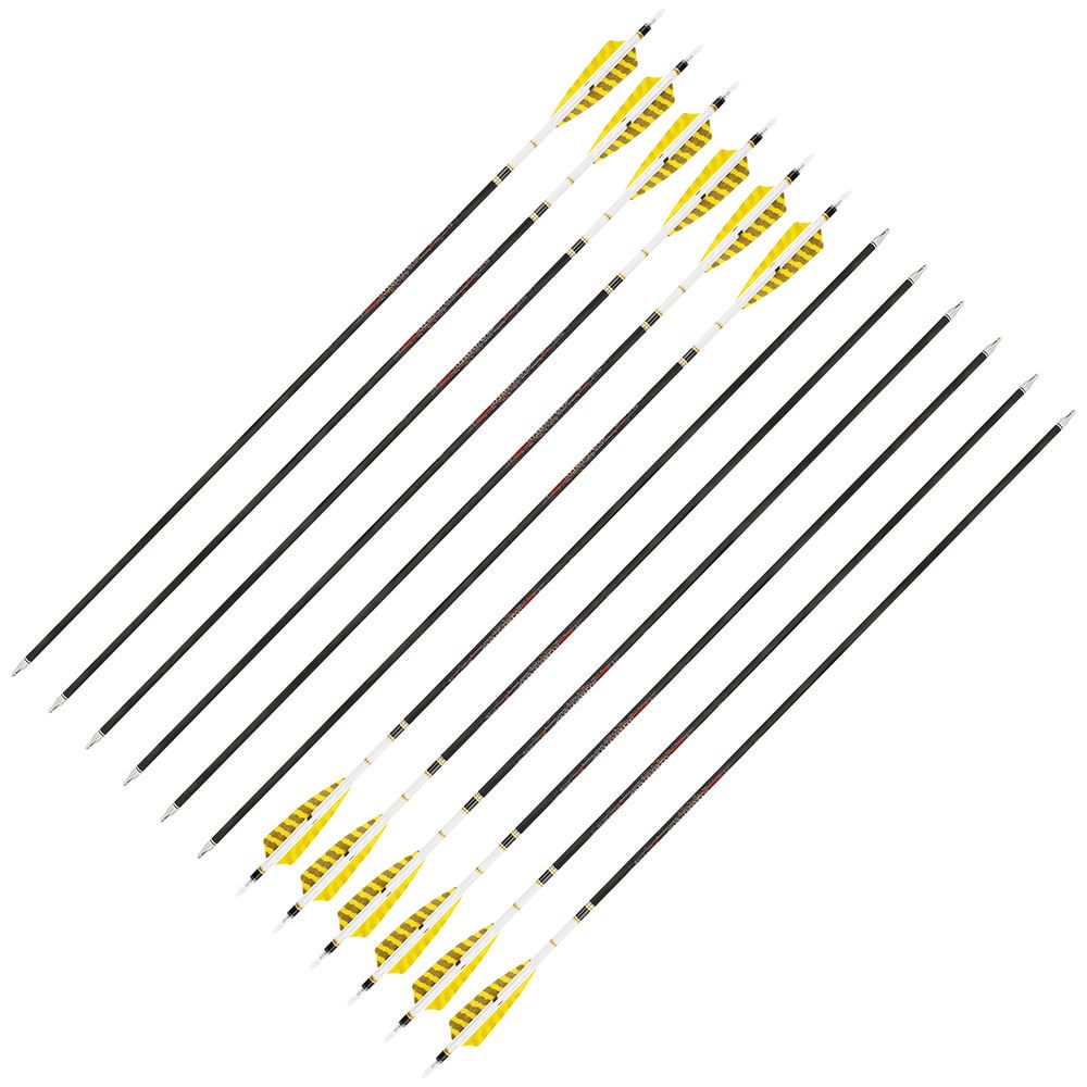 AME 31inch Carbon Arrows SP250-600 4 inch Natural Feathers for  Bow Hunting