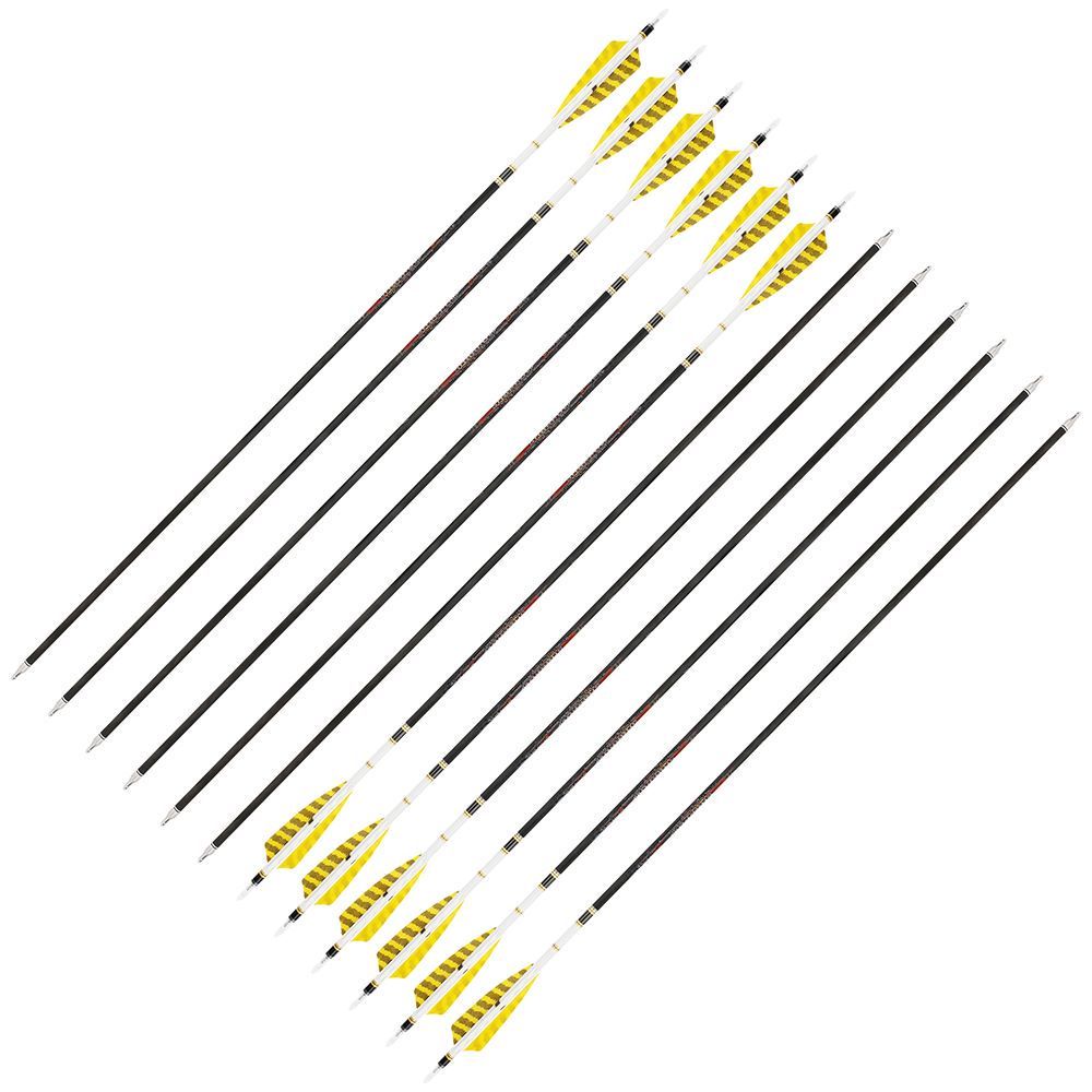 AME 31inch Carbon Arrows SP250-600 4 inch Natural Feathers for  Bow Hunting