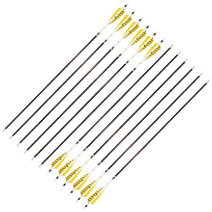 AME 31inch Carbon Arrows SP250-600 4 inch Natural Feathers for  Bow Hunting
