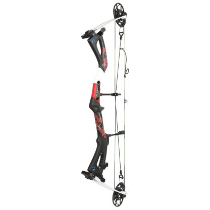 AME ARCHERY Carbon Compound Bow 345FPS