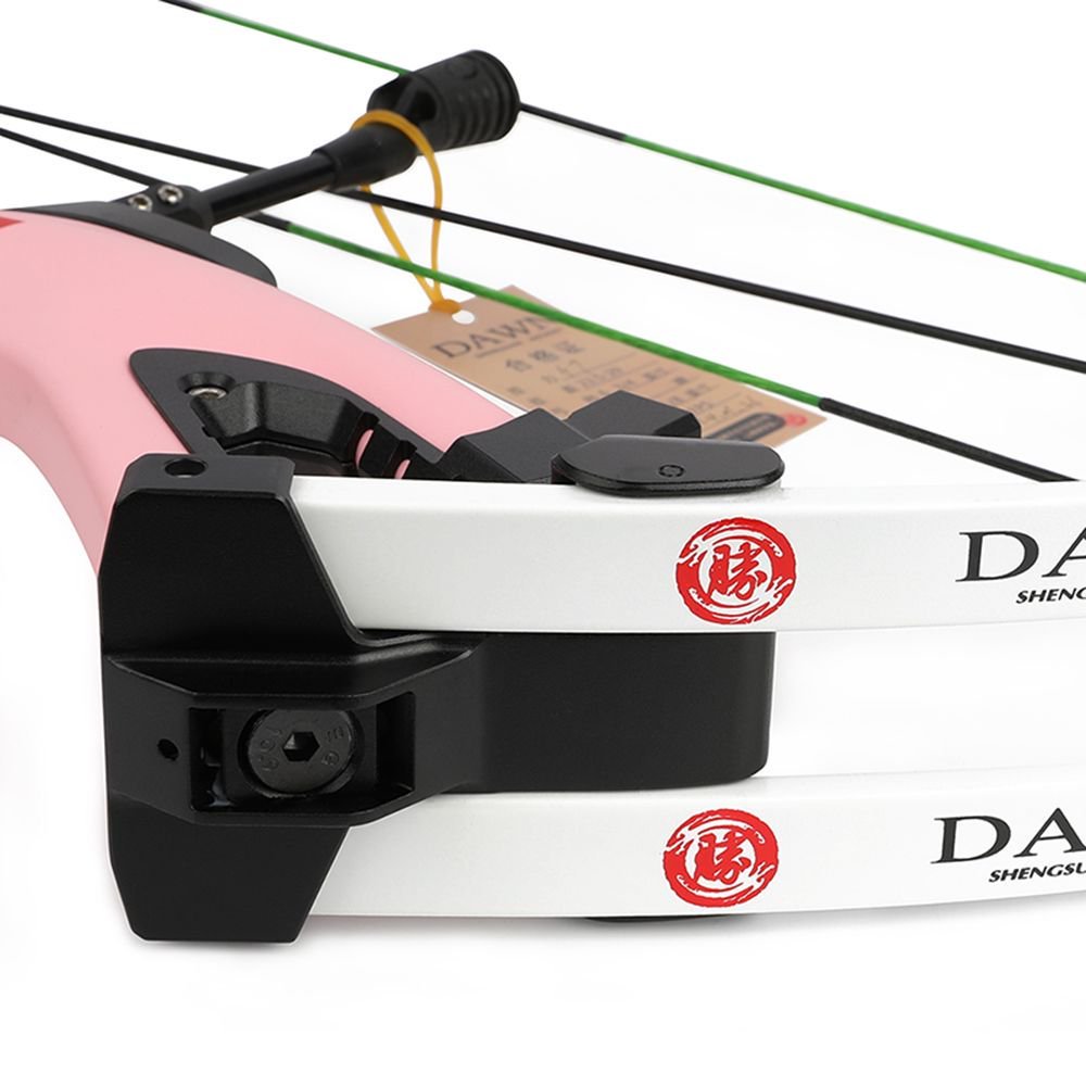 AME ARCHERY Carbon Compound Bow 345FPS