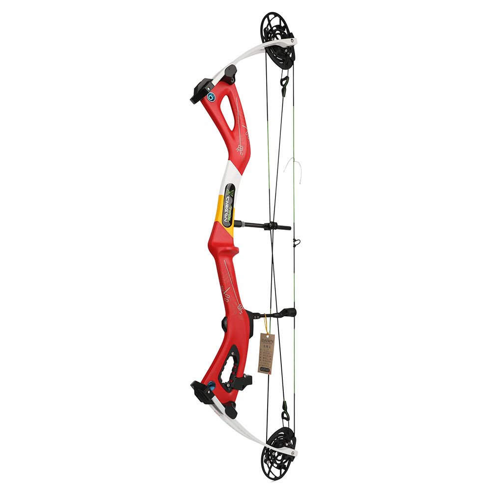 AME ARCHERY Carbon Compound Bow 345FPS