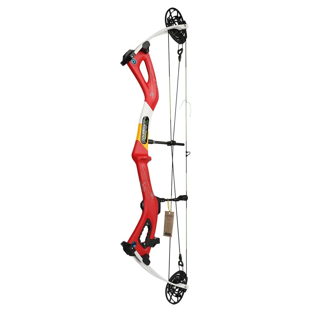 AME ARCHERY Carbon Compound Bow 345FPS