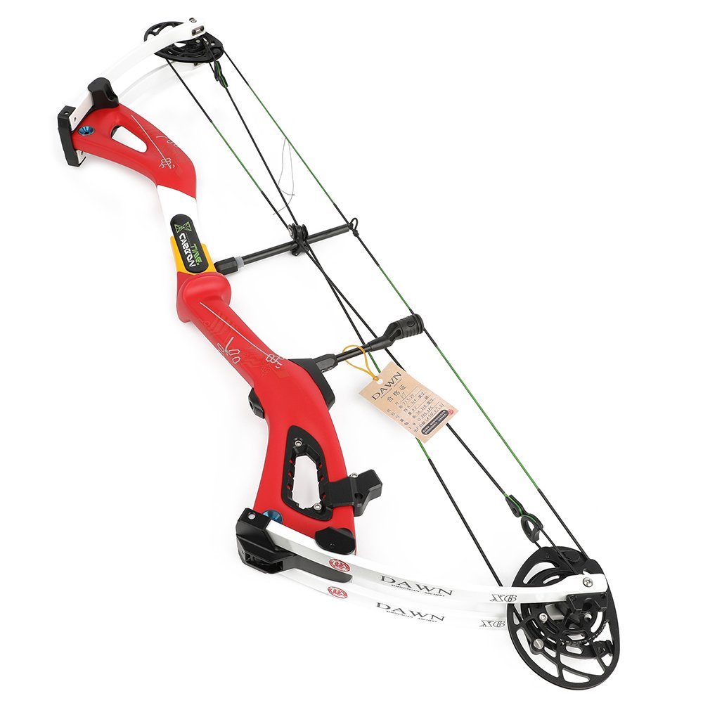 AME ARCHERY Carbon Compound Bow 345FPS