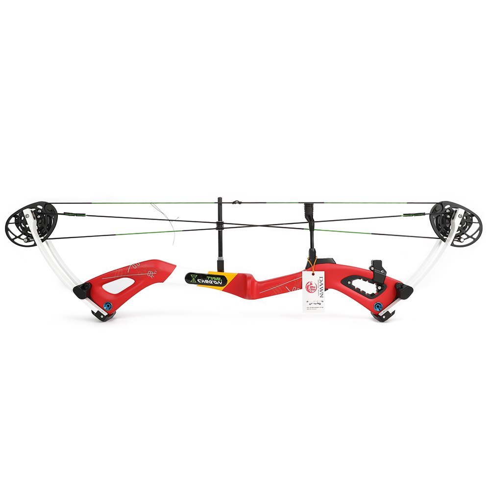 AME ARCHERY Carbon Compound Bow 345FPS