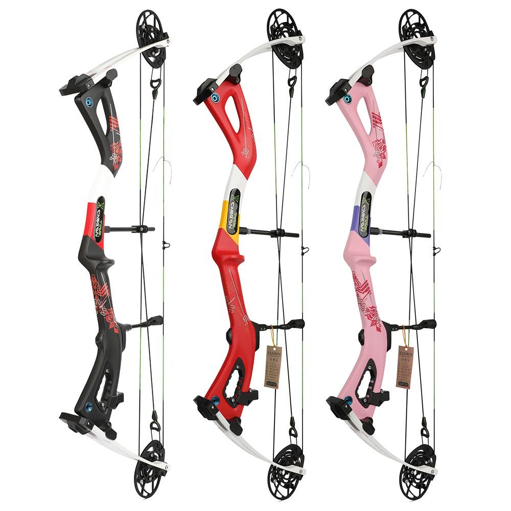 AME ARCHERY Carbon Compound Bow 345FPS