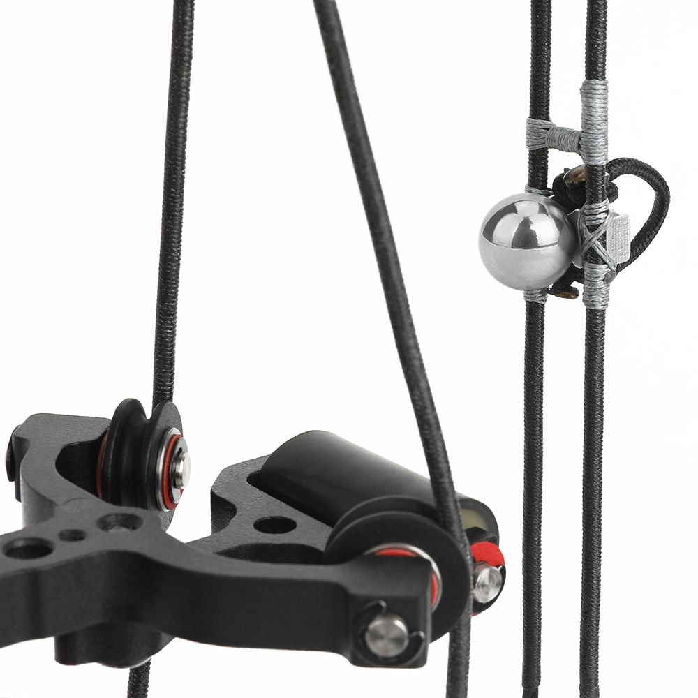 AME ARCHERY Short Axis Dual-Use Compound Bow RH LH