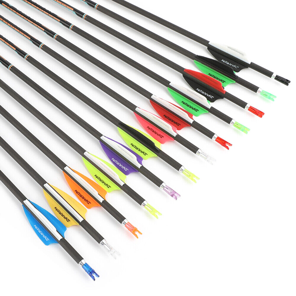 AME AZUREDRAGON 32inch Pure Carbon Arrows 24T SP300-1000 ID4.2mm 12pcs