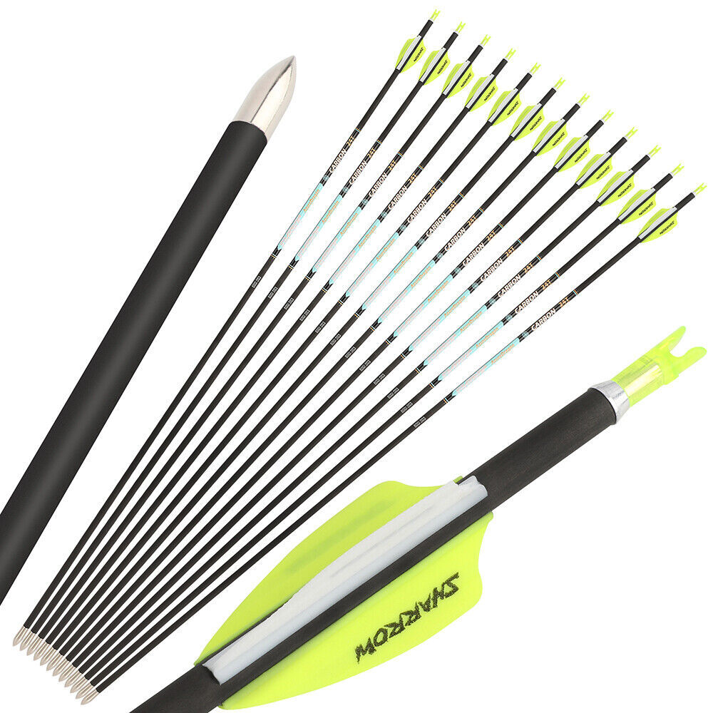 AME AZUREDRAGON 32inch Pure Carbon Arrows 24T SP300-1000 ID4.2mm 0.001 12pcs