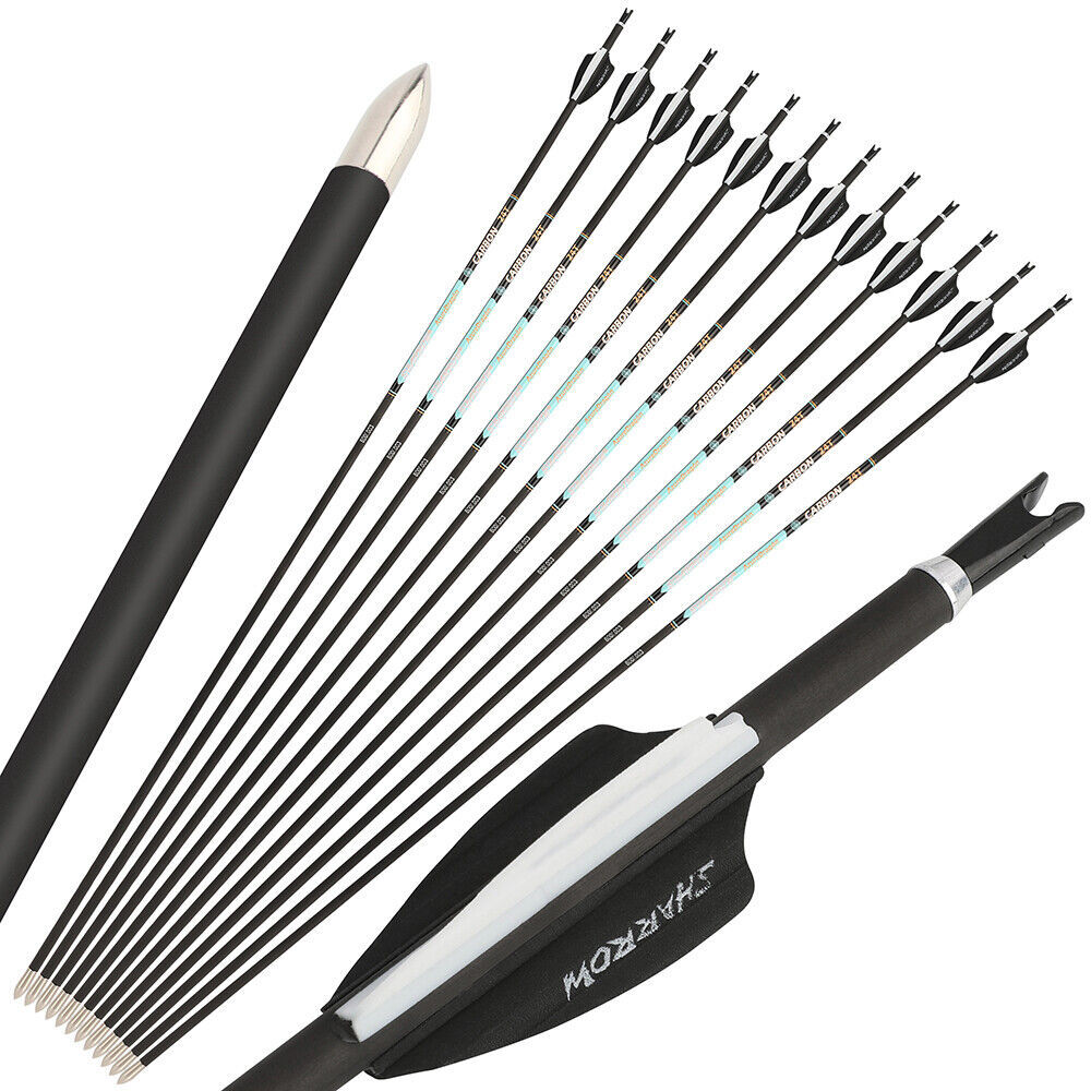 AME AZUREDRAGON 32inch Pure Carbon Arrows 24T SP300-1000 ID4.2mm 0.001 12pcs