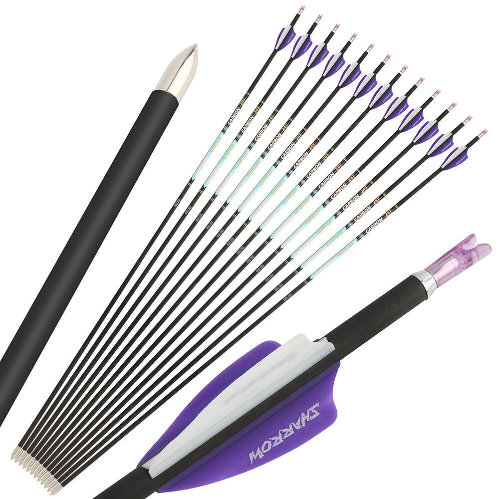 AME AZUREDRAGON 32inch Pure Carbon Arrows 24T SP300-1000 ID4.2mm 0.001 12pcs