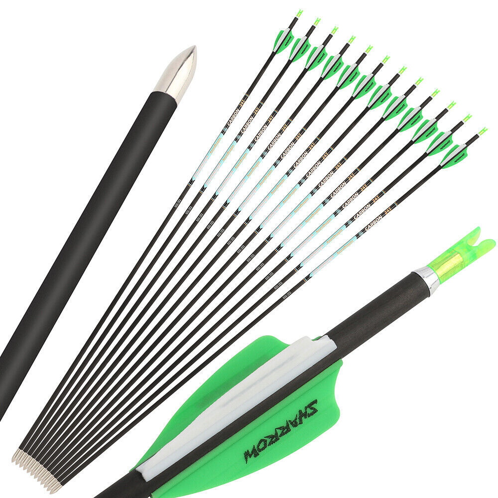 AME AZUREDRAGON 32inch Pure Carbon Arrows 24T SP300-1000 ID4.2mm 0.001 12pcs