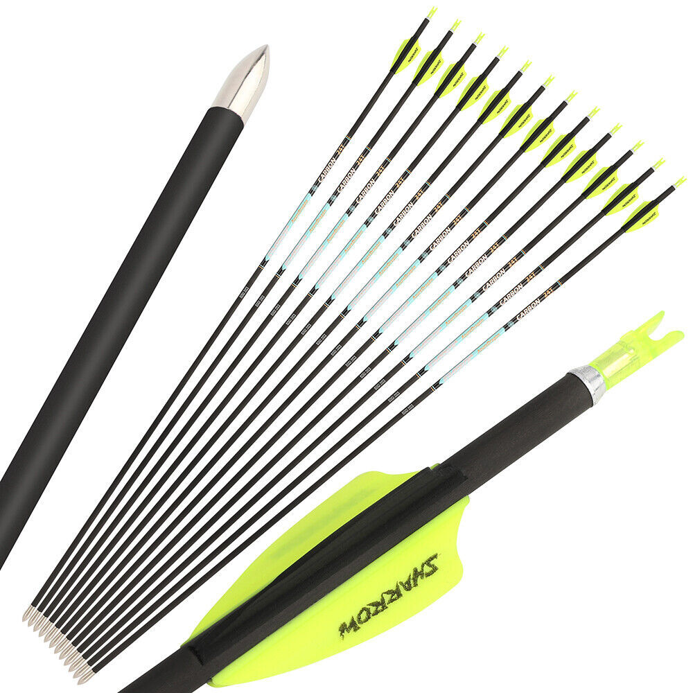 AME AZUREDRAGON 32inch Pure Carbon Arrows 24T SP300-1000 ID4.2mm 0.001 12pcs