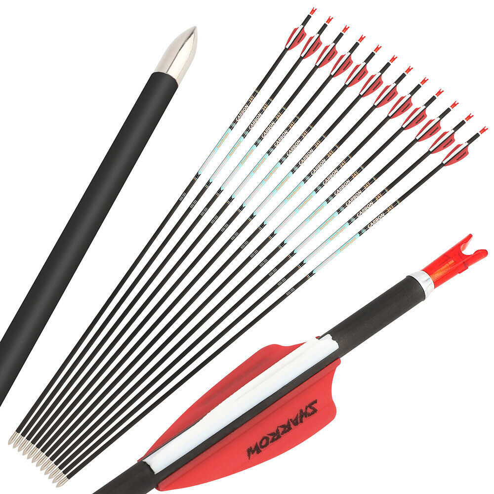 AME AZUREDRAGON 32inch Pure Carbon Arrows 24T SP300-1000 ID4.2mm 0.001 12pcs