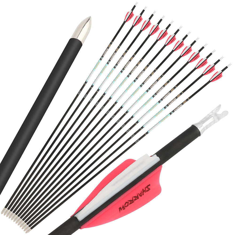 AME AZUREDRAGON 32inch Pure Carbon Arrows 24T SP300-1000 ID4.2mm 0.001 12pcs