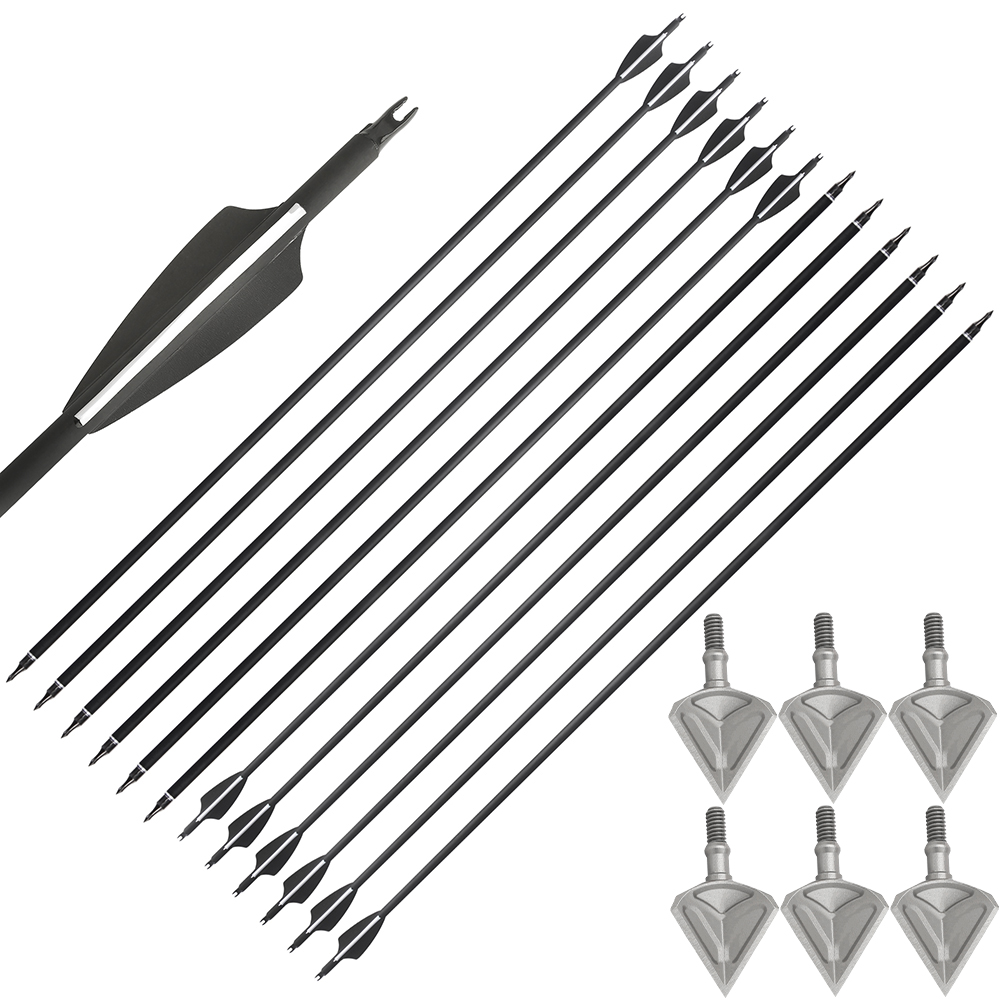 Archery Arrows 12pcs 31.6 in 500 Spine Carbon Training Set
