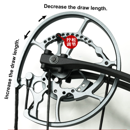 Compound Bow 340 FPS for Target Shooting 30-65Lbs Bow Archery