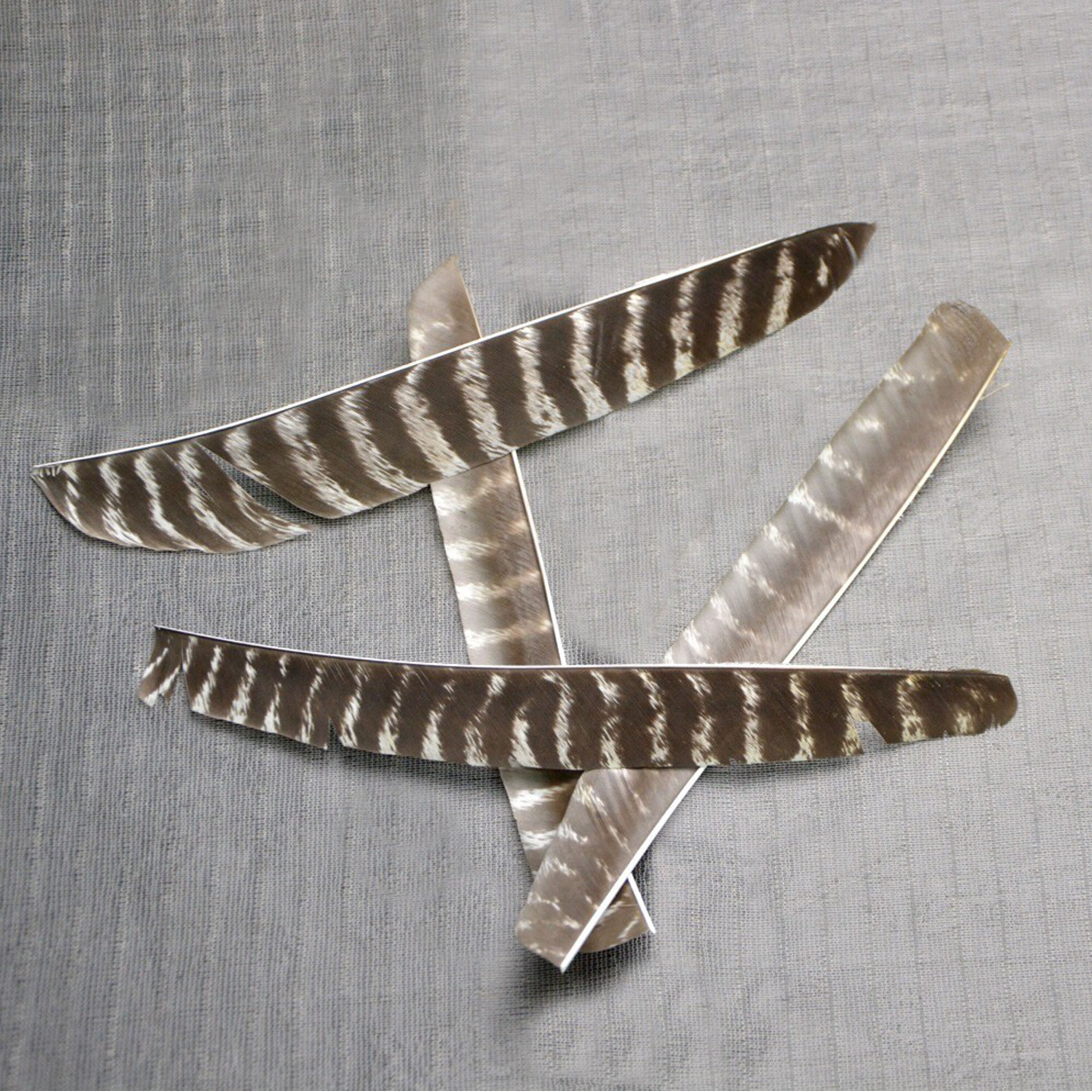Natural Turkey Feather Right Left Wings DIY Arrows Fletching 50X